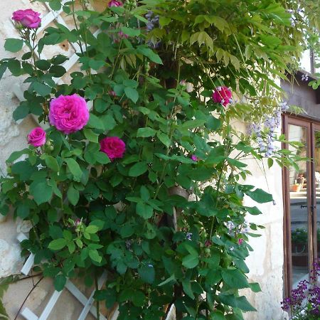 Les Tuileries Bed & Breakfast Ponteyraud Exterior photo