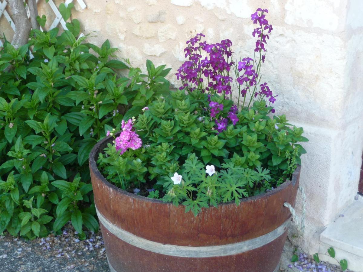 Les Tuileries Bed & Breakfast Ponteyraud Exterior photo